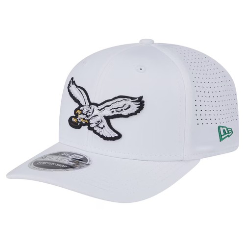 Philadelphia eagles new - eagles, era