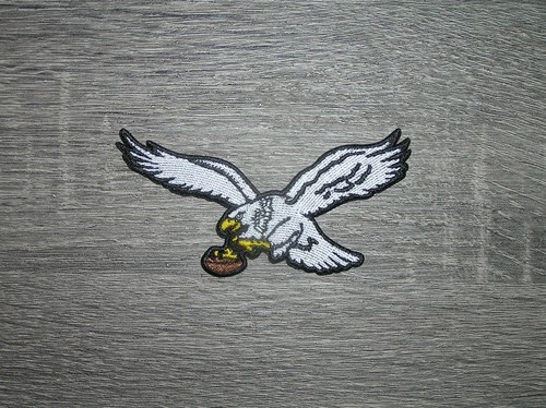 Philadelphia eagles flying - philadelphia,