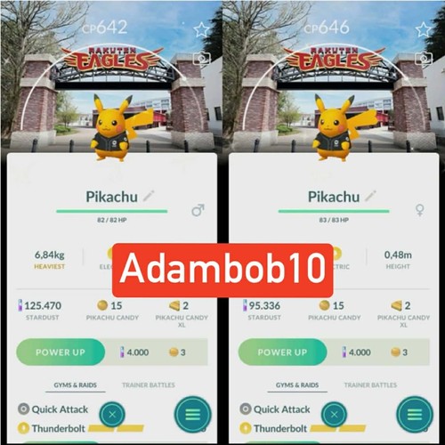 Pokémon shiny pikachu - pokémon, go