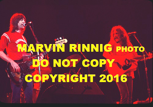 The eagles photo - eagles,